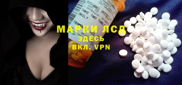 гашик Алексин