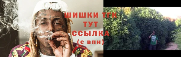 гашик Алексин