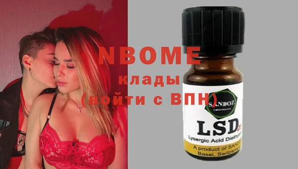 гашик Алексин