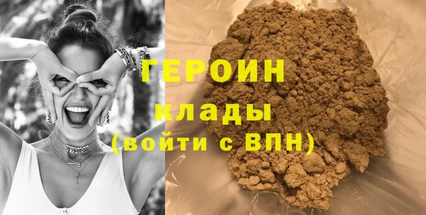 гашик Алексин