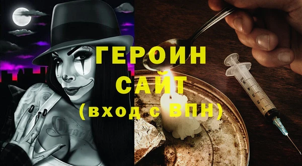 гашик Алексин